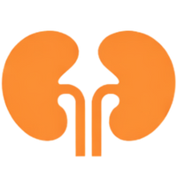 Supports Kidney Health