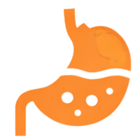 Supports Gut Health