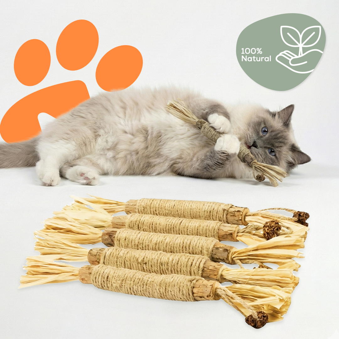 Les bâtonnets dentaires de Sammy