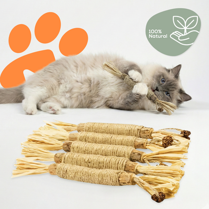 Les bâtonnets dentaires de Sammy