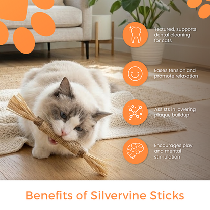 Les bâtonnets dentaires de Sammy