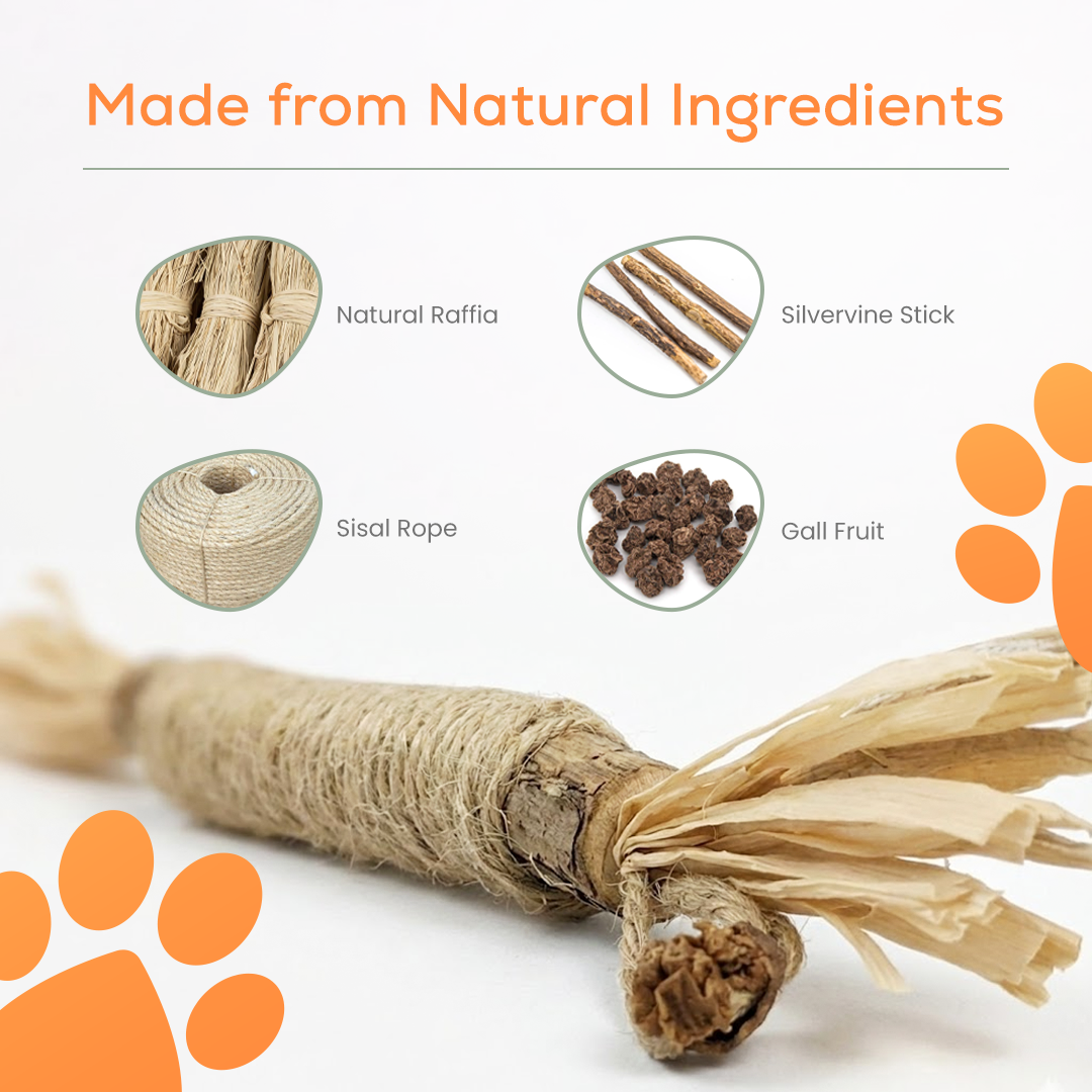 Les bâtonnets dentaires de Sammy